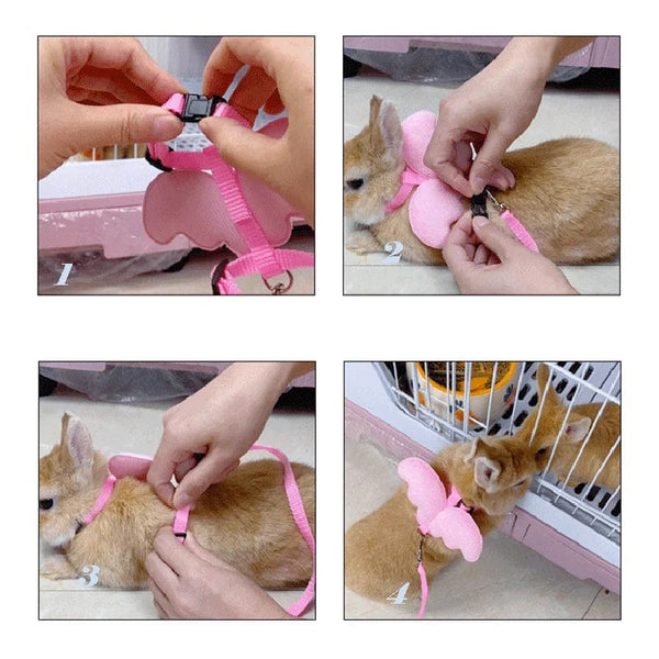 Planet Gates Cute Angel Wing Pet Rabbit Harness and Leash for Cats Rabbits Personalized Rabbit Harnesses Bunny Accessories Hamster Clothes