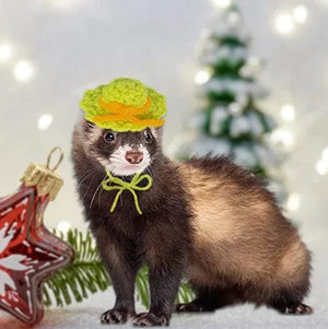 Planet Gates Cute Handmade Knitted Hat Hamster Decoration Chipmunk Guinea Pig Hamster Accessories Hamster Toy Hamster Supplies Small Pet Hat