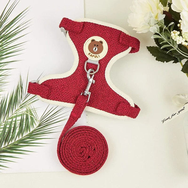 Planet Gates Cute Rabbit Harness Leash Set Bunny Pet Accessories Small Pet Carrier Teddy Bear Cat Leash Rabbit Collar  Rabbit Accessories