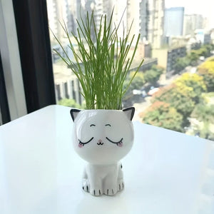 Planet Gates D 1pc, Ceramic Flower Pot Mini Cat Cartoon Cute Potted Plant Desktop Potted Cat Potted DIY Desk Decoration School Gift