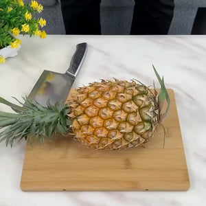 Planet Gates Default 1pc Stainless Steel Pineapple Core Extractor