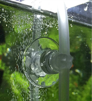 Planet Gates Delysia King  10pcs  Aquarium Air Pipeline Pipe Sucker Fish Tank Accessories