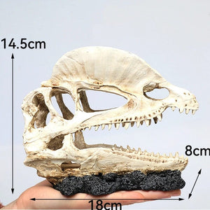 Planet Gates Dinosaur Head Animals Skull Fish Tank Fossil Dinosaur Ornaments Aquarium Rhinoceros Bone Decoration Fishbowl Crocodile Jellyfish Carp Turtle