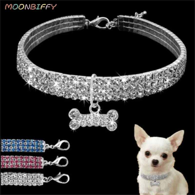 Planet Gates Dog Collar Rhinestone Jewelry Chihuahua Crystal Jewelry Adjustable Engraved Text Dog Collar