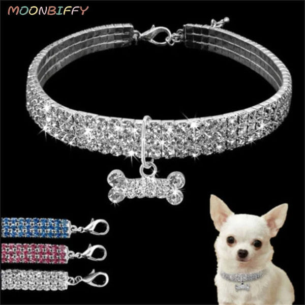 Planet Gates Dog Collar Rhinestone Jewelry Chihuahua Crystal Jewelry Adjustable Engraved Text Dog Collar
