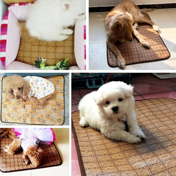 Planet Gates Dog Cooling Mat Summer Pad Pet Mat Bed for Dogs Cat Blanket Sofa Breathable Summer Washable Pet Supplies Accessories