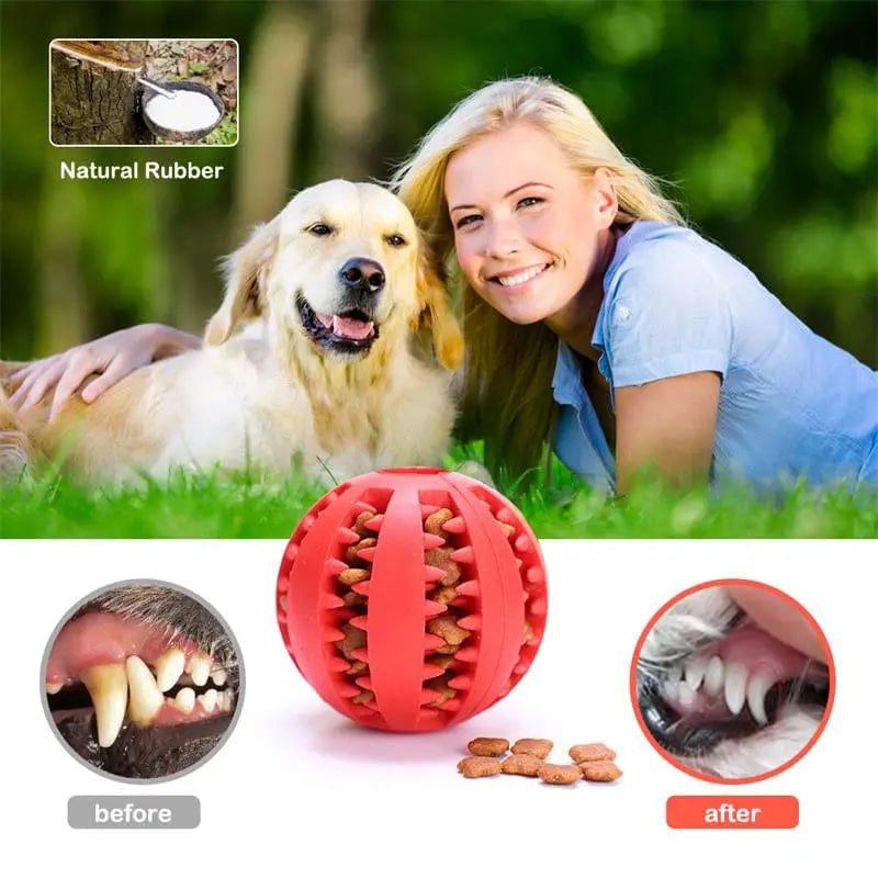 Planet Gates Dog Food Ball Pet Dog Toy Interactive Rubber Balls for Small Large Dogs Puppy Cat Chewing Toys Pet Tooth Cleaning