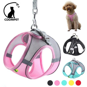 Planet Gates Dog Harness Leash Set for Small Dogs Adjustable Puppy Cat Harness Vest French Bulldog Chihuahua Pug Outdoor Walking Lead Leash