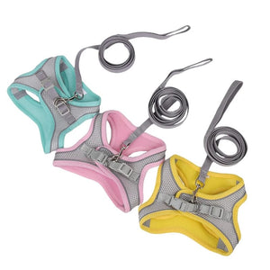 Planet Gates Dog Harness Leash Set for Small Dogs Adjustable Puppy Cat Harness Vest French Bulldog Chihuahua Pug Outdoor Walking Lead Leash