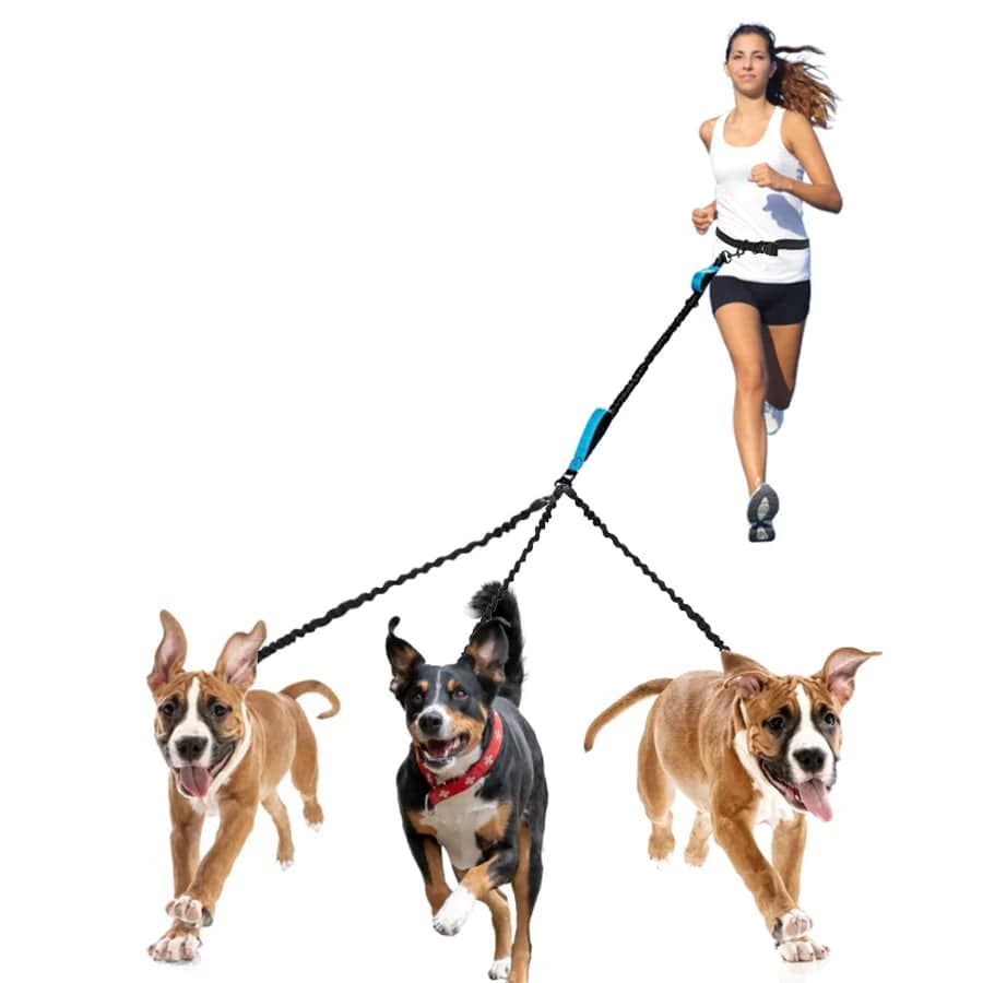 Planet Gates Dog Leash Hands-free Leash Suitable for Pets Running and Walking Dog Harness Collar Jogging Leash Adjustable Multi-Dog Leash Use