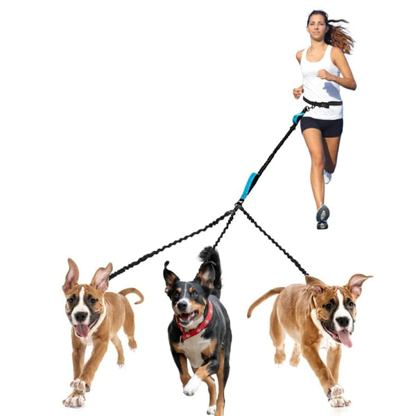 Planet Gates Dog Leash Hands-free Leash Suitable for Pets Running and Walking Dog Harness Collar Jogging Leash Adjustable Multi-Dog Leash Use