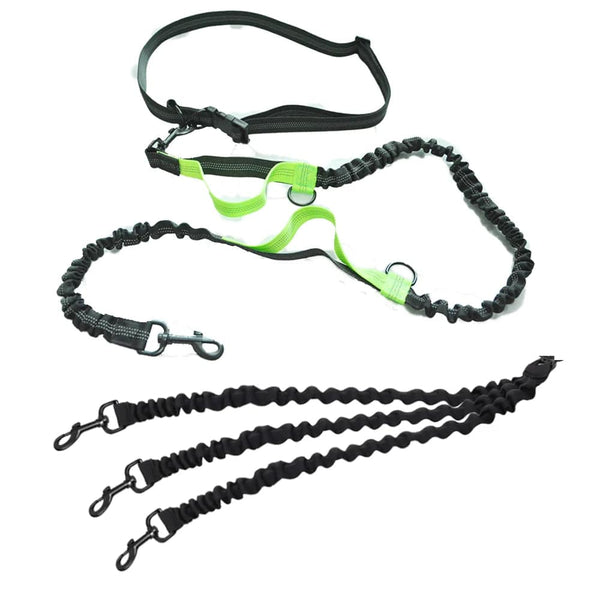 Planet Gates Dog Leash Hands-free Leash Suitable for Pets Running and Walking Dog Harness Collar Jogging Leash Adjustable Multi-Dog Leash Use