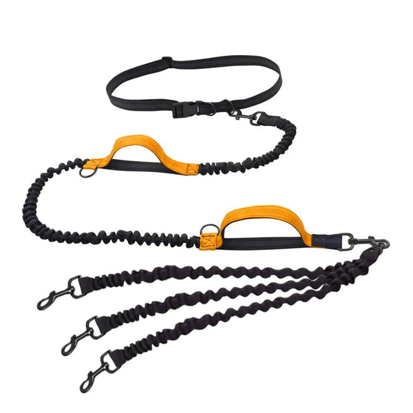 Planet Gates Dog Leash Hands-free Leash Suitable for Pets Running and Walking Dog Harness Collar Jogging Leash Adjustable Multi-Dog Leash Use