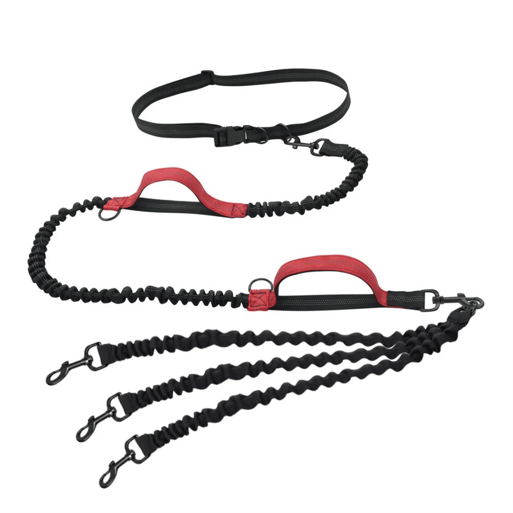 Planet Gates Dog Leash Hands-free Leash Suitable for Pets Running and Walking Dog Harness Collar Jogging Leash Adjustable Multi-Dog Leash Use