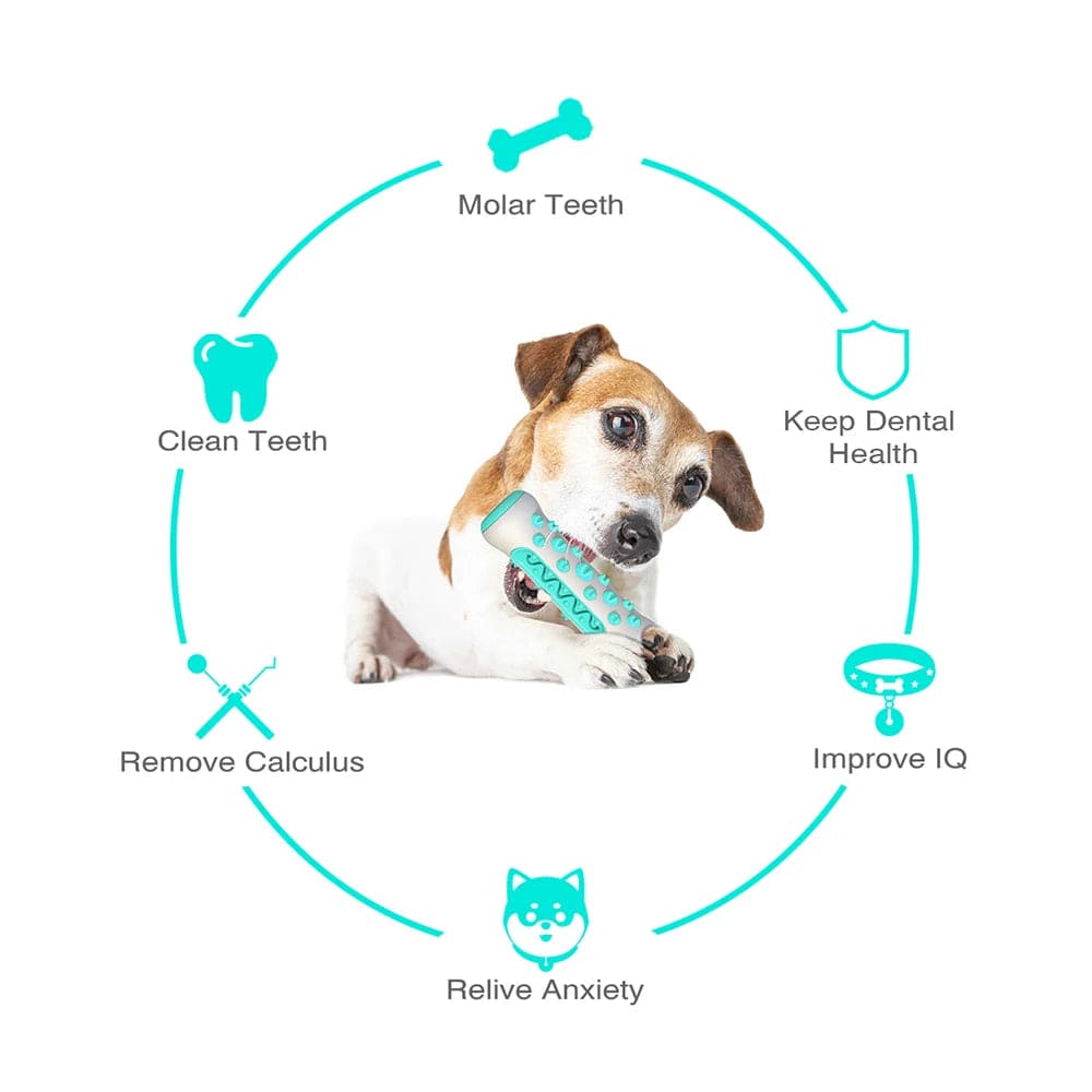 Planet Gates Dog Molar Toothbrush Stick Toys For Small Large Dogs Cat Tooth Cleaning Puppy Chew Funny Interactive Training Toy Accessories