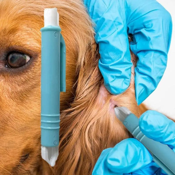 Planet Gates Dog Tick Remover Tool 4 pcs Tick Remover Kit for Cats and Dogs Flea Remover Comb Lice Supplies for Pet Dog Cat Human Horse