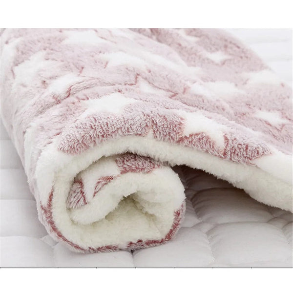 Planet Gates Dogs Cats Blanket Bed Mat Soft Coral Fleece Winter Thicken Warm Sleeping Dog Beds for Small Pet Medium Supply Dropshipping