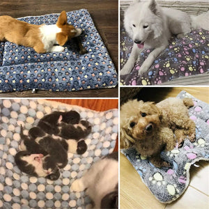 Planet Gates Dogs Cats Blanket Bed Mat Soft Coral Fleece Winter Thicken Warm Sleeping Dog Beds for Small Pet Medium Supply Dropshipping