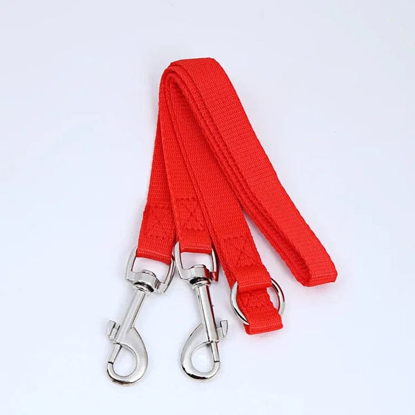 Planet Gates Double Twin Dual Coupler Dog Leash Two in One Strong Nylon V Shape Pet Dog Leash Colorful Two Ways Pet Lead