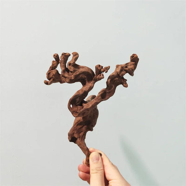 Planet Gates Drift Wood Plants for Natural Aquariums & Fish Bowls Decor Aquarium Pot Assorted Driftwood Branch Background Aqarium Accessories