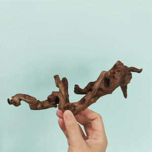 Planet Gates Drift Wood Plants for Natural Aquariums & Fish Bowls Decor Aquarium Pot Assorted Driftwood Branch Background Aqarium Accessories