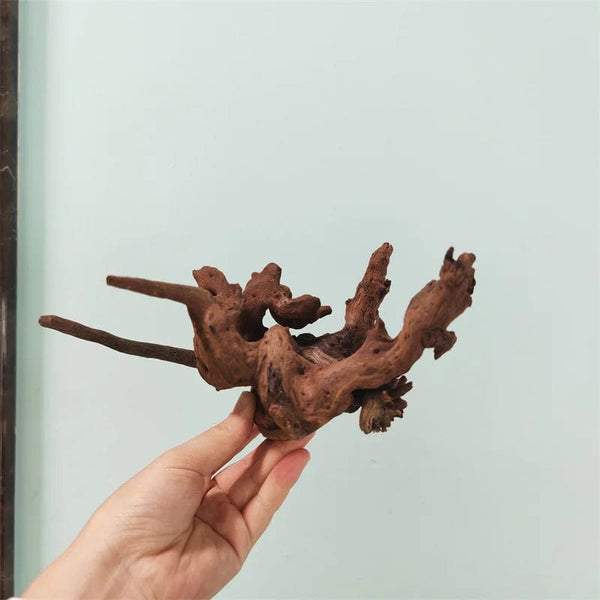 Planet Gates Drift Wood Plants for Natural Aquariums & Fish Bowls Decor Aquarium Pot Assorted Driftwood Branch Background Aqarium Accessories