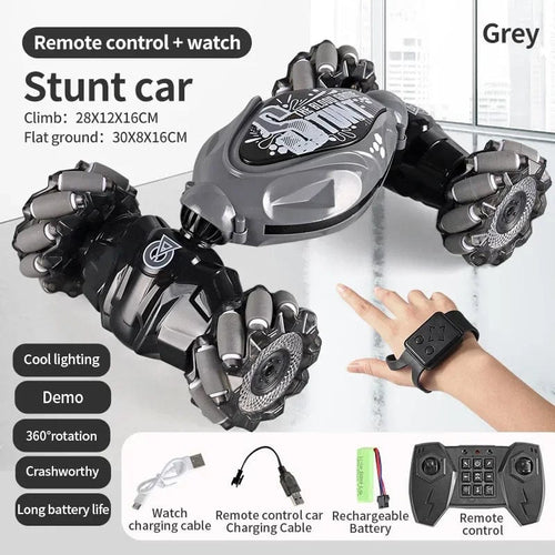 Planet Gates Dual control 4WD 1:16 Stunt RC Car with LED Light GestureInfrared Induction Twist Climbing Radio Controlled Car Childrens Day Toy for Boy