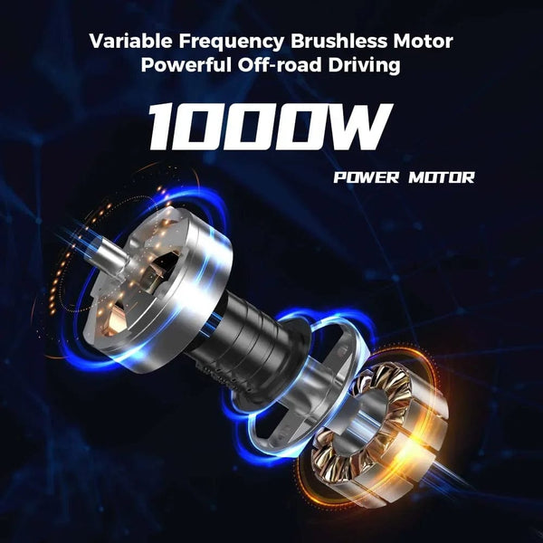 Planet Gates Electric Scooter iScooter IX4/IX5/IX6 800W 1000W Powerful Motor 48V17.5AH Electric Kick Scooter 10inch 11inch Fat Tire E-Scooter