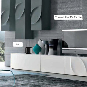 Planet Gates EU Plug RM4C mini Broadlink APP Bestcon RM4C mini Universal Wifi IR Mini Remote Control Compatible Alexa Google Assistant For AC