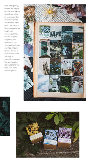 Planet Gates F 100 pcs Spring summer autumn winter Kraft Paper Mini Greeting Card INS flower Postcard Letter Envelope Decoration LOMO Cards