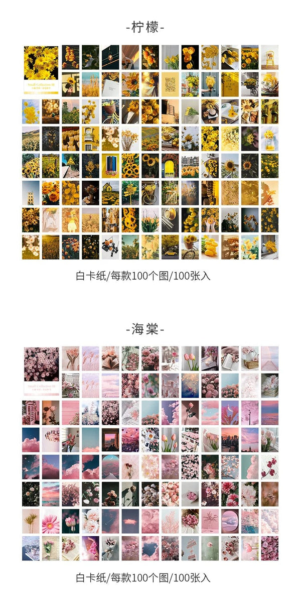 Planet Gates F 100 pcs Spring summer autumn winter Kraft Paper Mini Greeting Card INS flower Postcard Letter Envelope Decoration LOMO Cards