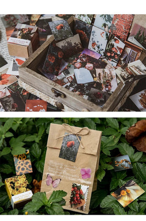 Planet Gates F 100 pcs Spring summer autumn winter Kraft Paper Mini Greeting Card INS flower Postcard Letter Envelope Decoration LOMO Cards