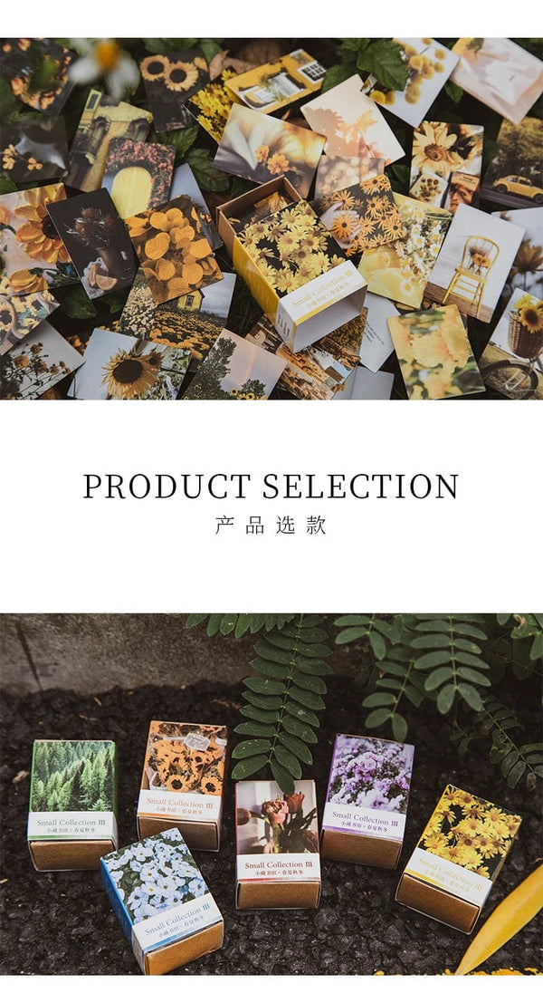 Planet Gates F 100 pcs Spring summer autumn winter Kraft Paper Mini Greeting Card INS flower Postcard Letter Envelope Decoration LOMO Cards