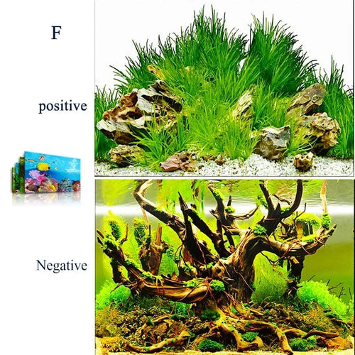 Planet Gates F style / 40x50cm 3d Marine Background for Aquarium Decorations Stickers & Poster Goods Decoration Fish Tanks and Aquariums Accessories Aquascape