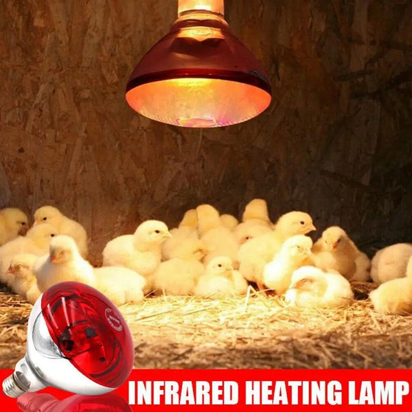 Planet Gates Farm Thermal Light Preservation Reptile Habitat Lights Chicken Infrared Heater Light Infrared Lamp Hatch Heating Chick Lamp