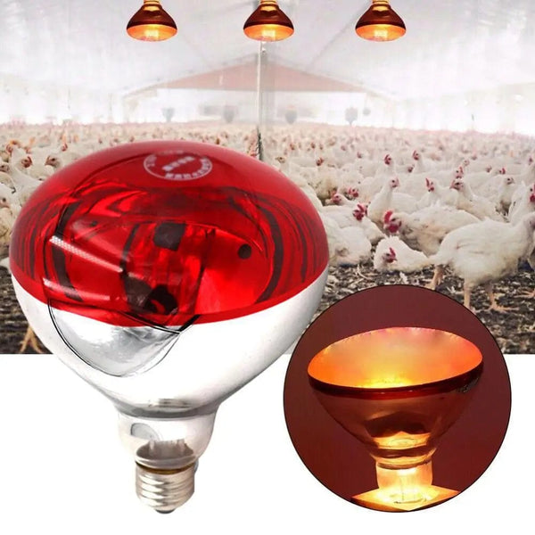 Planet Gates Farm Thermal Light Preservation Reptile Habitat Lights Chicken Infrared Heater Light Infrared Lamp Hatch Heating Chick Lamp