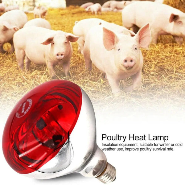 Planet Gates Farm Thermal Light Preservation Reptile Habitat Lights Chicken Infrared Heater Light Infrared Lamp Hatch Heating Chick Lamp