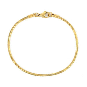 Planet Gates Fashion Stainless Steel Snake Chain Bracelet for Women Gold Color Bracelets  Charm Summer 2022 Trends in Jewelry Wholesale