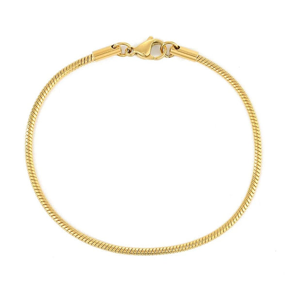 Planet Gates Fashion Stainless Steel Snake Chain Bracelet for Women Gold Color Bracelets  Charm Summer 2022 Trends in Jewelry Wholesale