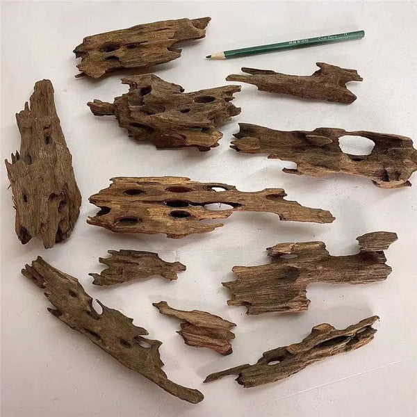 Planet Gates Fish Tank Natural Porous Wood Driftwood Ornament for Aquarium Decoration Hermit Crabs Shrimp Fish Aquarium Accessories