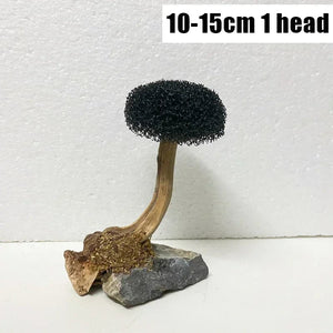 Planet Gates Fish Tank Plant Moss Tree Decorations Landscaping Wood Plant Root Driftwood Aquatic Plants Grass Aquarium Accessories (No Moss)