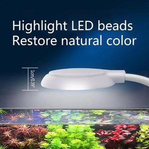 Planet Gates Fish Tanks Clip-on Light Clamp Aquarium Lights LED Beads White and Blue Lights 360-Degree Rotations 5W USB Plugs