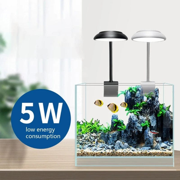 Planet Gates Fish Tanks Clip-on Light Clamp Aquarium Lights LED Beads White and Blue Lights 360-Degree Rotations 5W USB Plugs