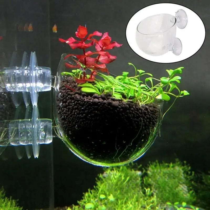 Planet Gates fish Waterweed nursery pot Glass Aquarium decoration Pot Polka Water potted aquatic planting cylinder cup aquarium accessories