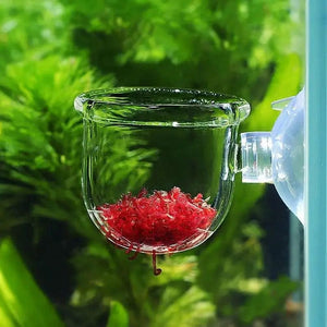Planet Gates fish Waterweed nursery pot Glass Aquarium decoration Pot Polka Water potted aquatic planting cylinder cup aquarium accessories