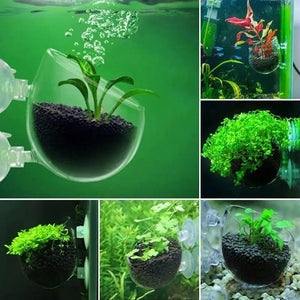 Planet Gates fish Waterweed nursery pot Glass Aquarium decoration Pot Polka Water potted aquatic planting cylinder cup aquarium accessories