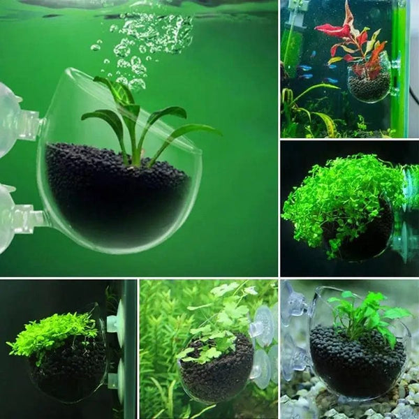 Planet Gates fish Waterweed nursery pot Glass Aquarium decoration Pot Polka Water potted aquatic planting cylinder cup aquarium accessories