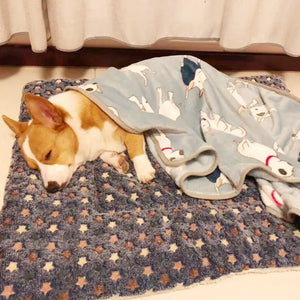Planet Gates Flannel Thickened Dog Bed Mat Soft Pet Sleeping Mat for Dogs Cats Winter Warm Pet Blanket