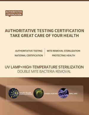 Planet Gates Folded Electric Clothes Dryer Smart Drying Rack Hang Ultraviolet Dryer Machine Portable Travel Warm Air Dryer 220V/110V For Home