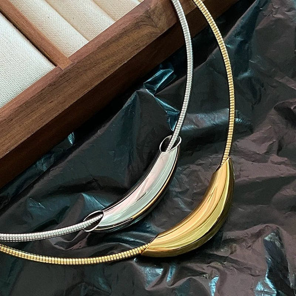 Planet Gates French Retro Design Metal Tube Snake Bone Chain Collar For Women‘s Exaggerated Stainless steel Necklace Girls' Colorless Jewelry